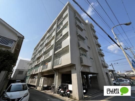 �G�X�|���[���풬 �O�ώʐ^