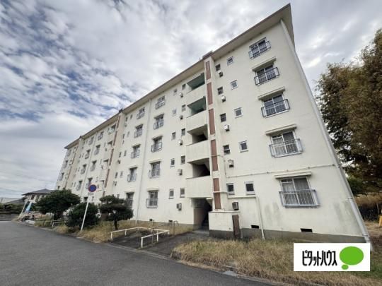 �r���b�W�n�E�X��33���� �O�ώʐ^