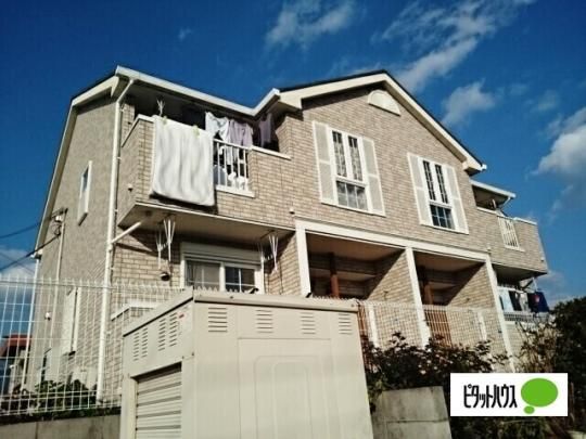 �T�j�[�z���C�g �O�ώʐ^