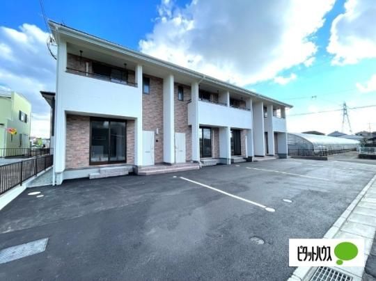 �k���e������������ �O�ώʐ^