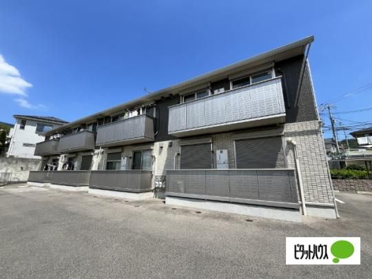 D-room���� �O�ώʐ^