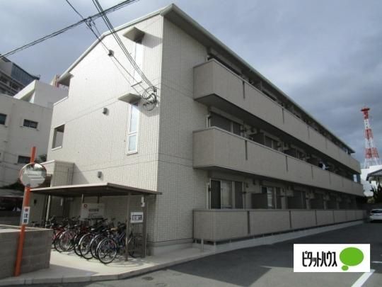 �T���e���X���� �O�ώʐ^