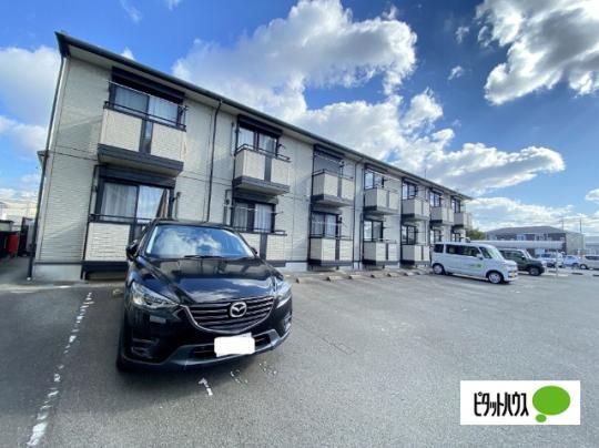 �n�C�l�X �L�{ �O�ώʐ^