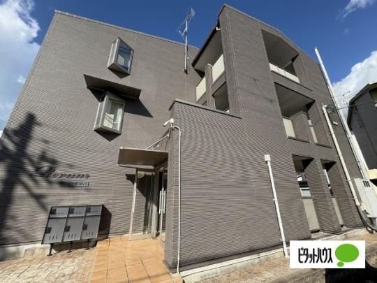 �����F�[���h�J �O�ώʐ^