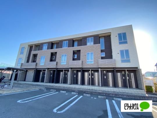 �A���W���[���`�q�h�c�`�@�T �O�ώʐ^