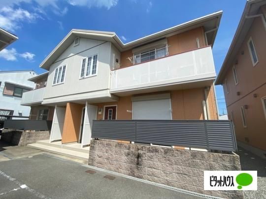 �V���[���]���I���V �O�ώʐ^