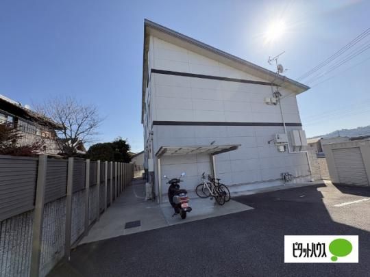 ���C���{�[�␣�U �O�ώʐ^