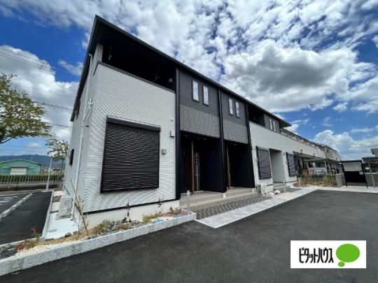 �W���\�[���V �O�ώʐ^