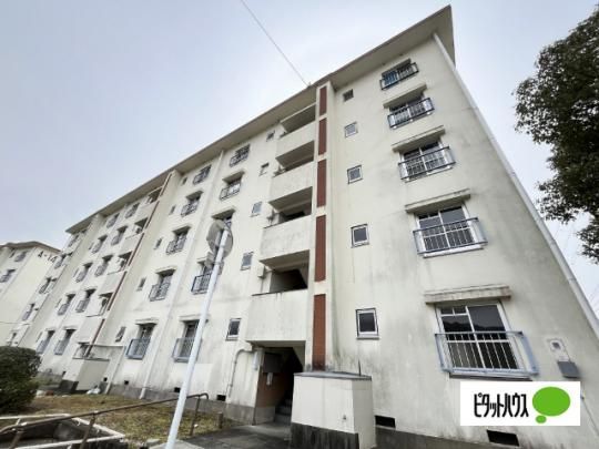 �r���b�W�n�E�X��15���� �O�ώʐ^