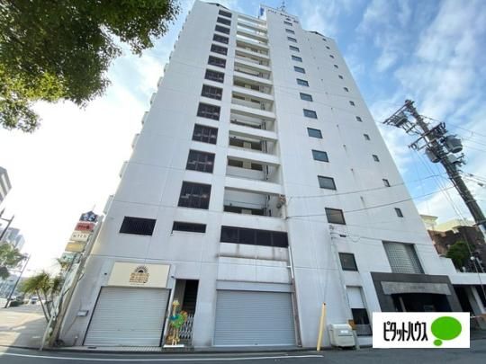 �p���E�V���g�[�{�� �O�ώʐ^