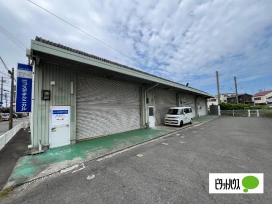 �T���O���[�������q�� �O�ώʐ^