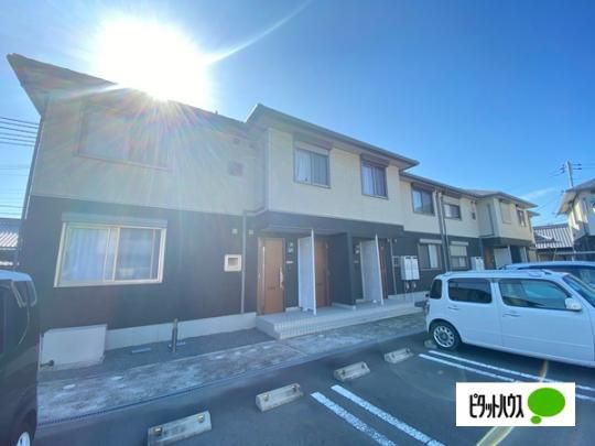 �V���[���]�����C�����q���Y�U �O�ώʐ^