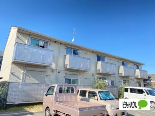 �h�C�X�h�D�A�X �O�ώʐ^