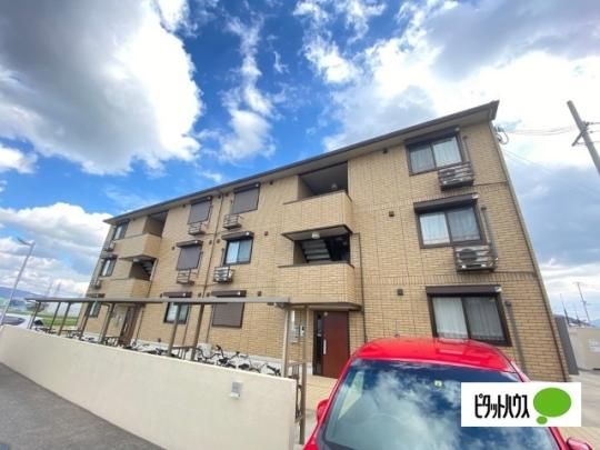 D-room �p�X�g���[���@�U �O�ώʐ^