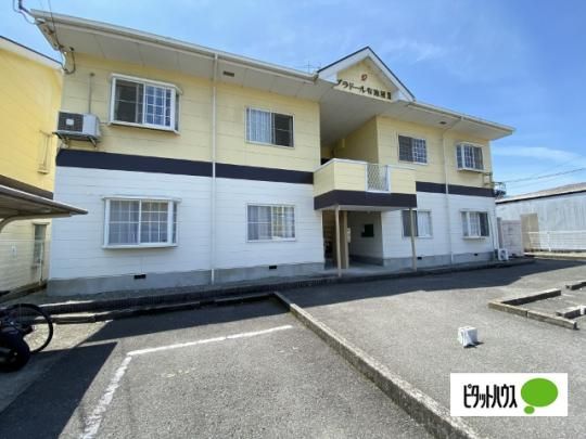 �v���h�[���z�{���V �O�ώʐ^