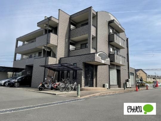 ���b�Z�i�[21 �O�ώʐ^