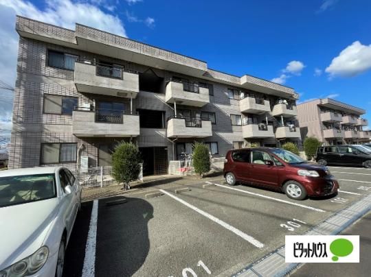 ���t�H�[���T �O�ώʐ^