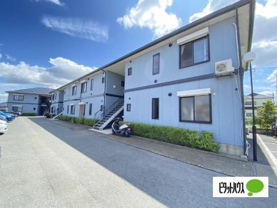 �t�E���j�[���E�~�[ �O�ώʐ^