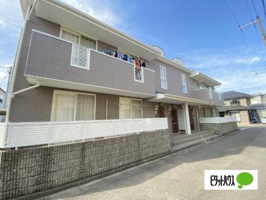 �J���t�H�[�g�����T �O�ώʐ^