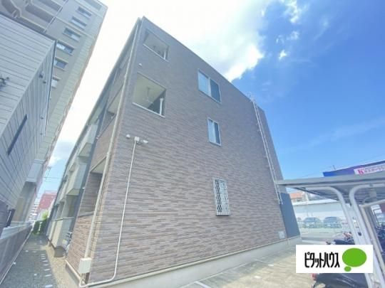 �R���t�H���g���낾 �O�ώʐ^