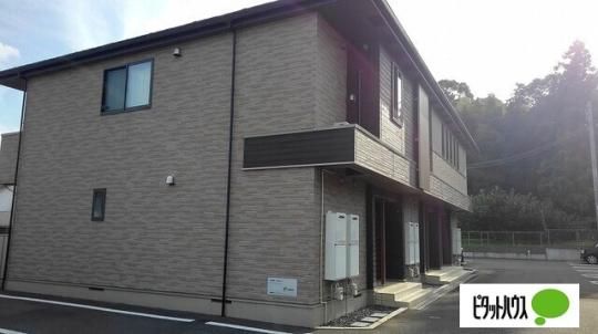 �A�[�f���@�T �O�ώʐ^