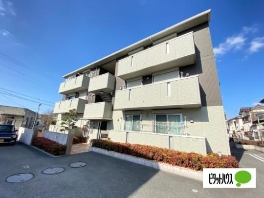 �T�E�X���]�����[�������[�W�� �O�ώʐ^