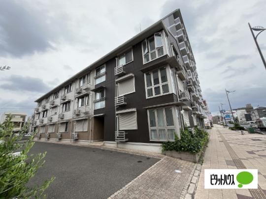 �G�~�l���X���z�o���i�q�K�V�k�m�G�`���E�j �O�ώʐ^