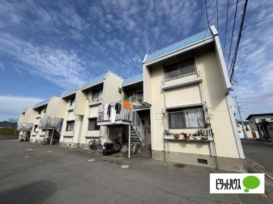 �����n�C�c �O�ώʐ^