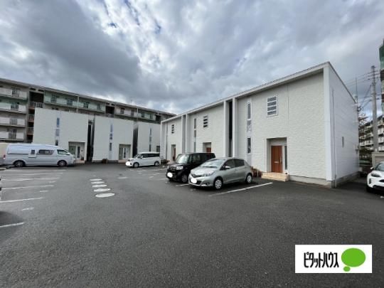 �k�fGente M �O�ώʐ^