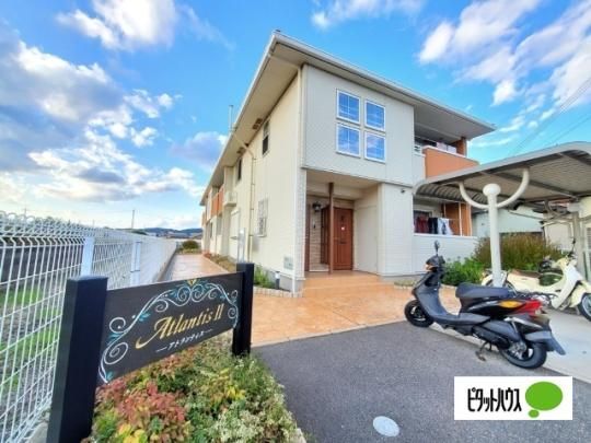 �A�g�����e�B�X�U �O�ώʐ^