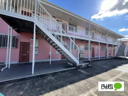 ���]���l�C�e�B�u�s�[�` �O�ώʐ^