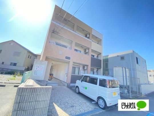 �t�W�p���XY&T �O�ώʐ^