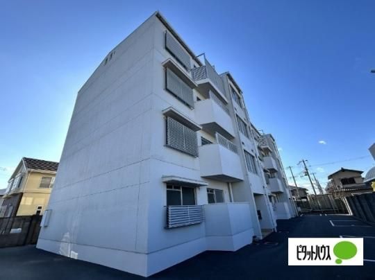 �}���V������ �O�ώʐ^