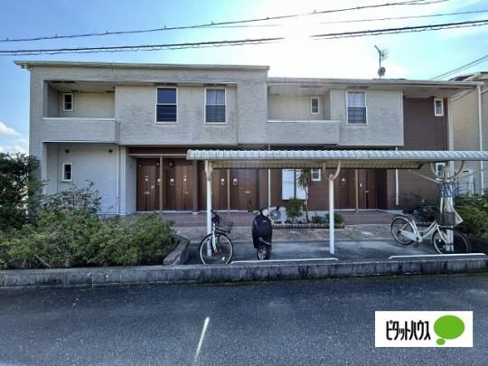 �R�[�g�W���l�X�@�U �O�ώʐ^