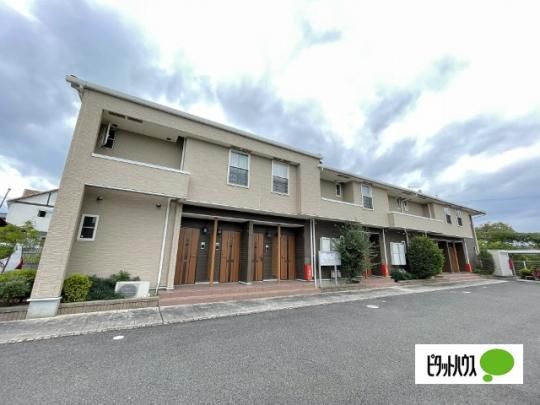 �J�[�T�@�X�e�� �O�ώʐ^