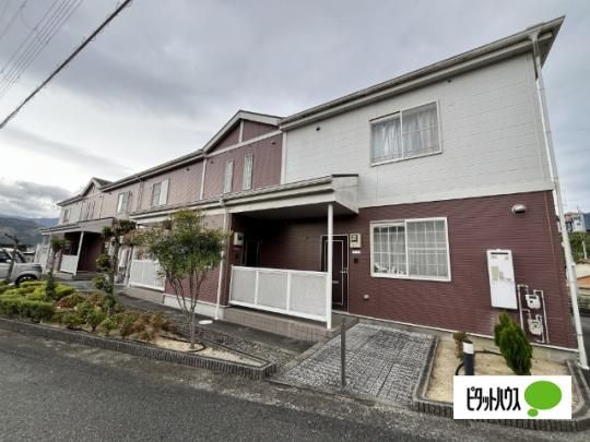 �T���E�K�|�f�� �O�ώʐ^