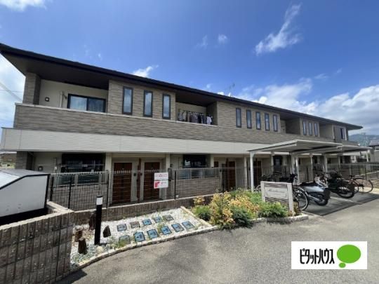 �}���_���[�i �O�ώʐ^