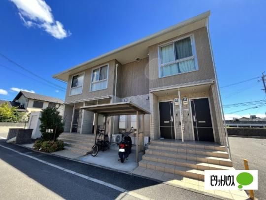 D-room Kuki �O�ώʐ^