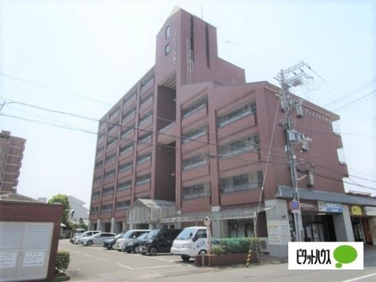 �O���C�X�s�A���� �O�ώʐ^