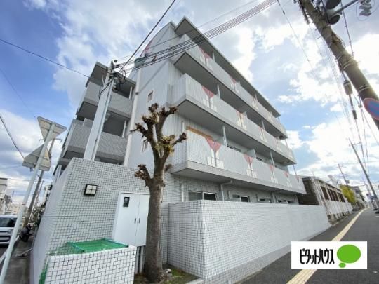 �V�����}���t�W���k����Ԋ� �O�ώʐ^