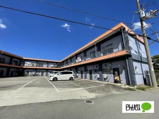 ���s�i�X�~�i�g �O�ώʐ^