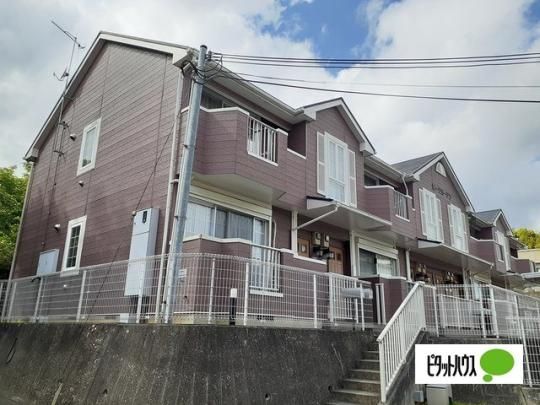 �s�[�N�K�[�f�� �O�ώʐ^