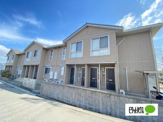 �J�[�T�E�X�e�����l �O�ώʐ^