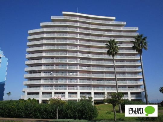 �p�V�t�B�b�N�r�X�^�V �O�ώʐ^