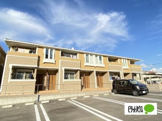 �f�B���T �O�ώʐ^