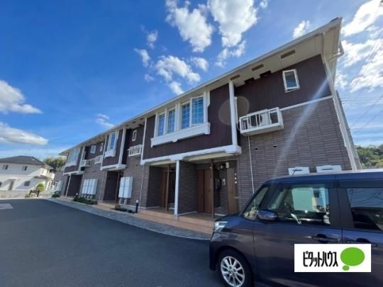 �t�H���g�D�[�i �O�ώʐ^