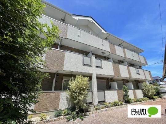 ���W�f���X�u���C�g �O�ώʐ^