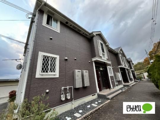 �V�����E�h�E�t���[�� �O�ώʐ^