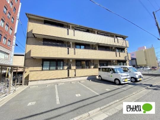 sereno ���c�i�Z���[�m �N���_�j �O�ώʐ^