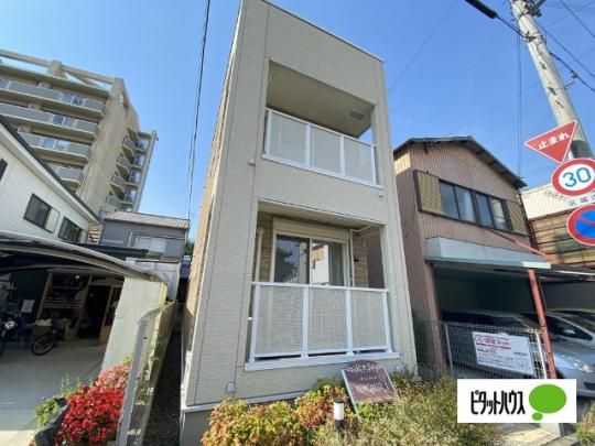 ���@���N�[���@�T �O�ώʐ^